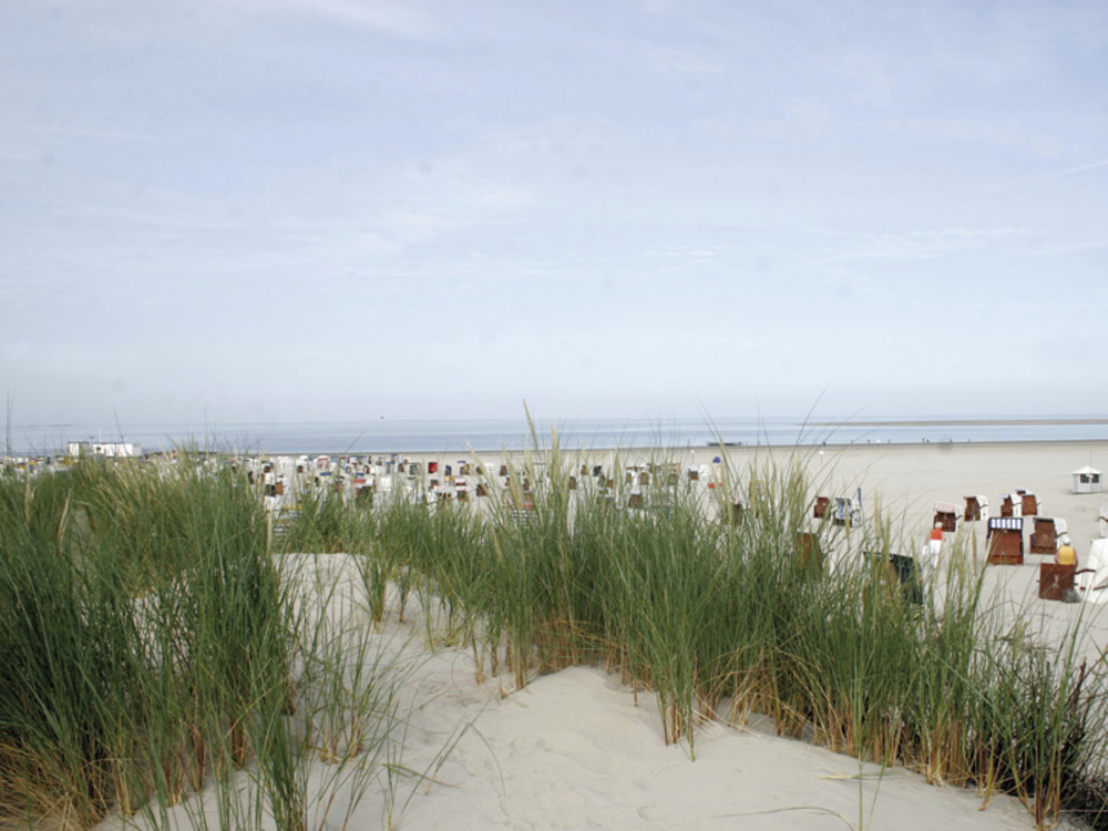 Strand von Borkum