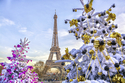 Advent und Weihnachtsshopping in Paris / AA